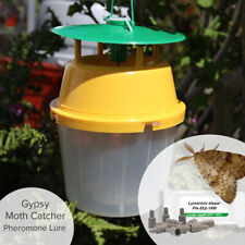 Moth Catcher Trap with 3 x Lymantria dispar (Gypsy Moth) Lure