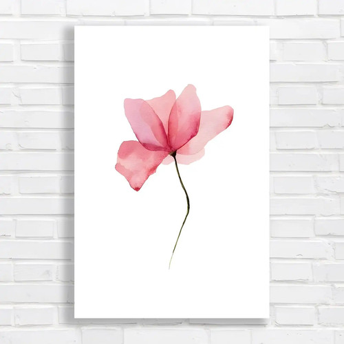 Delicate floral home botanical - floral,