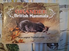 Grandee Cigar Cards British