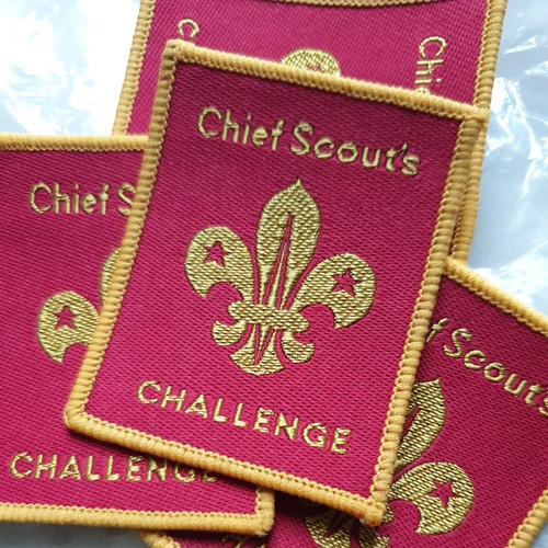 Obsolete chief scout - chief, scout's
