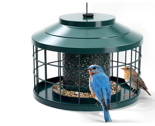 Hnging bird feeder - , squirrel