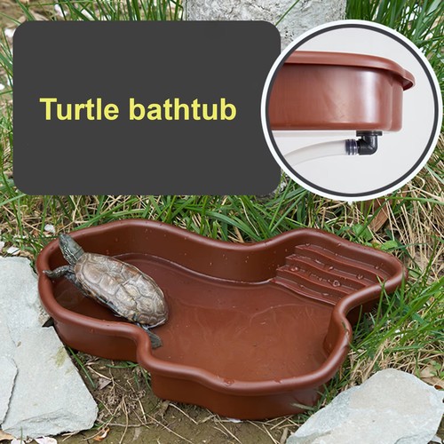 Reptile bathing pool large - reptile,