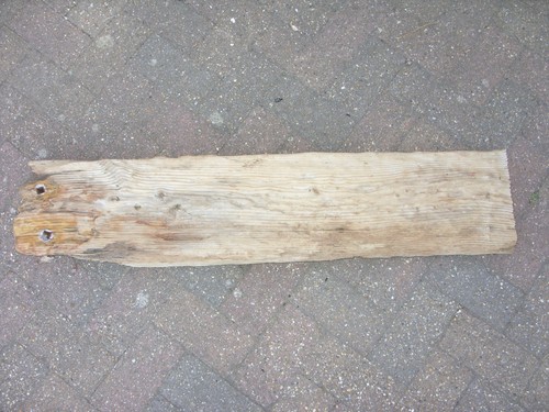 Large driftwood - large,