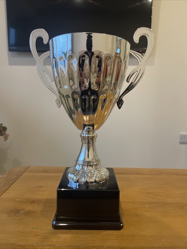 Large silver trophy - large,