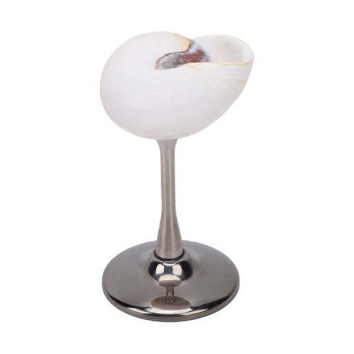 Conch shell wine - conch,