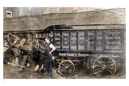 Ptc5544 yorks david - -,