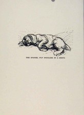 Original Old Vintage Print