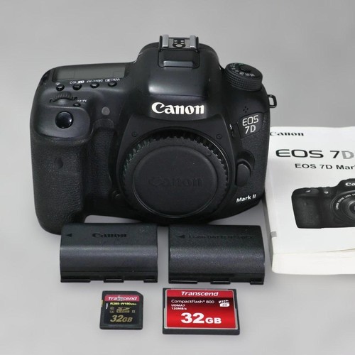 Canon eos mark body - body, with
