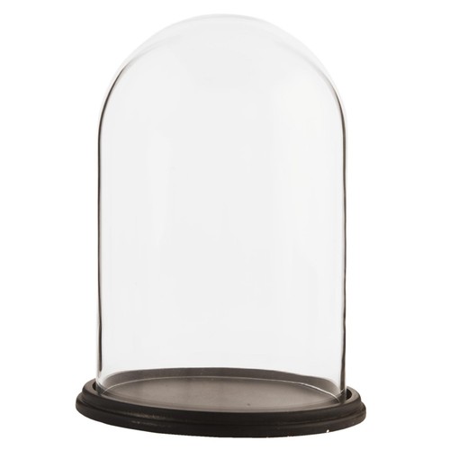 Glass display bell jar - bell,
