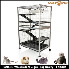 Cozy pet rodent - for, rat