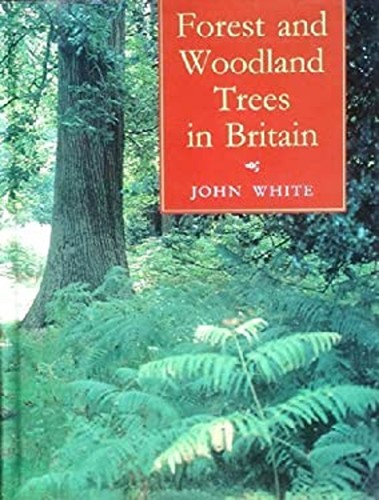 Forest and woodland trees - woodland, in