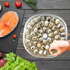 Small Quail Bird Egg Tray,48
