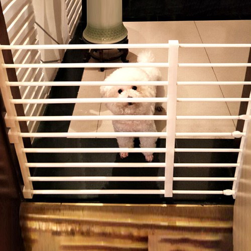 Adjustable dog fence - adjustable,