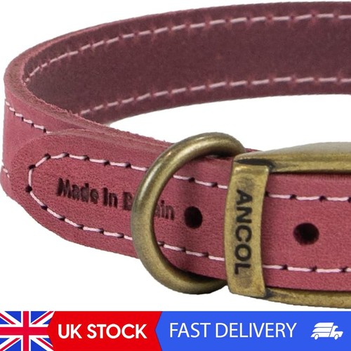 Timberwolf leather dog collar - leather,