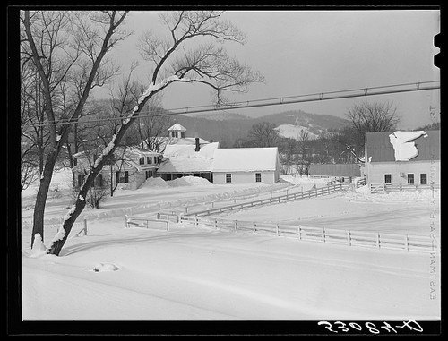 Woodstock vermont suffolk - vermont,