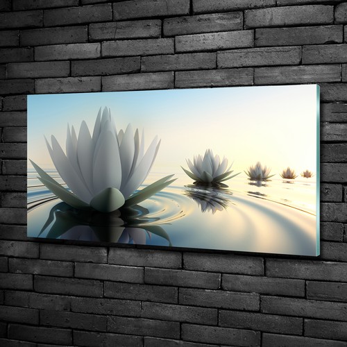 Plexiglas print acrylic wall - plexiglas®,