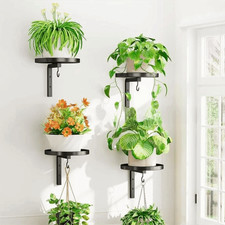 Potted Plant Display Stand