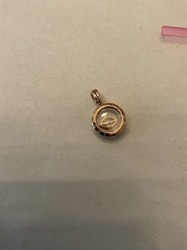 Pandora rose floating locket - rose,