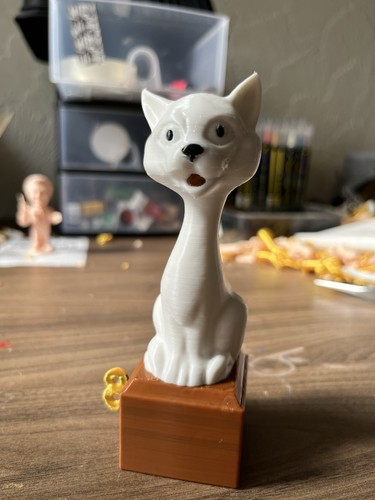 Only fools and - fools, cat