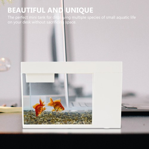Acrylic betta fish tank - acrylic,
