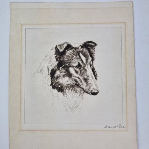 David gee signed etching study - david,