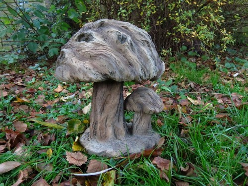 Wood life toadstool - wood,