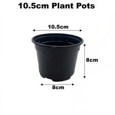 5cm plant pots black - plant,