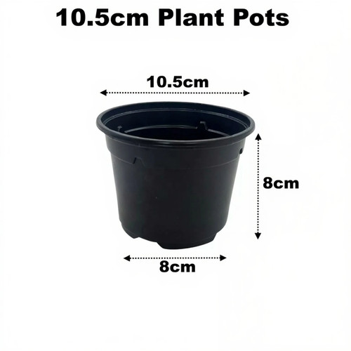5cm plant pots - 10.5cm,
