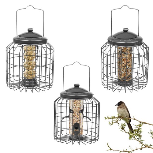 Squirrel proof hanging bird - proof,