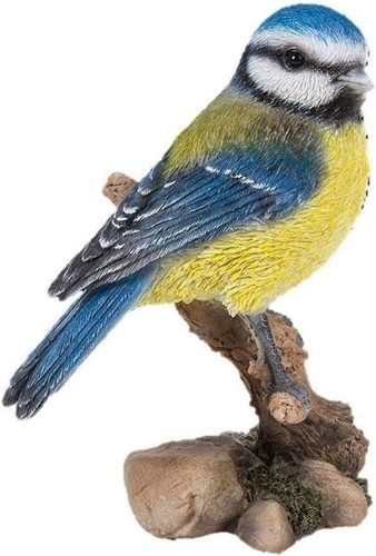 Robin blue tit - robin,