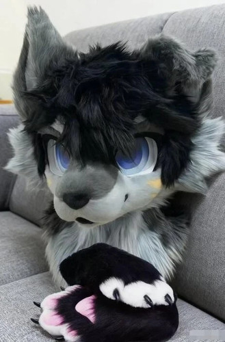Fursuit long haired dog - long,