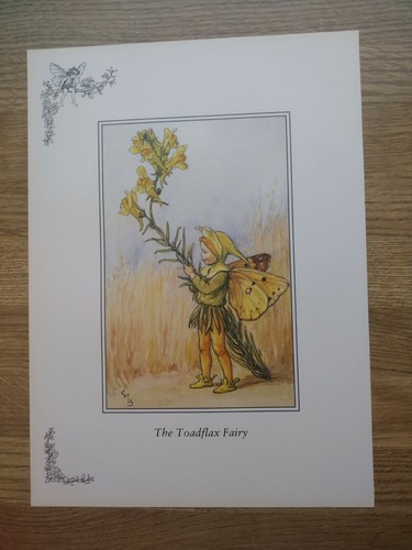Cicely mary barker - cicely,
