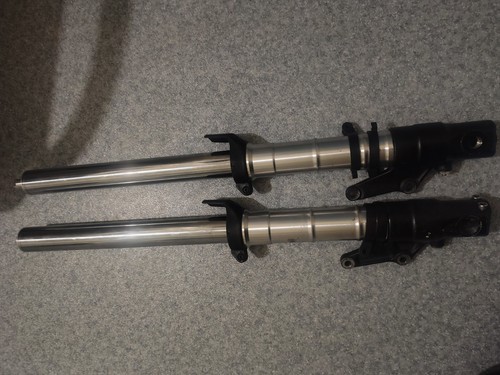 Triumph daytona 955i forks - triumph,