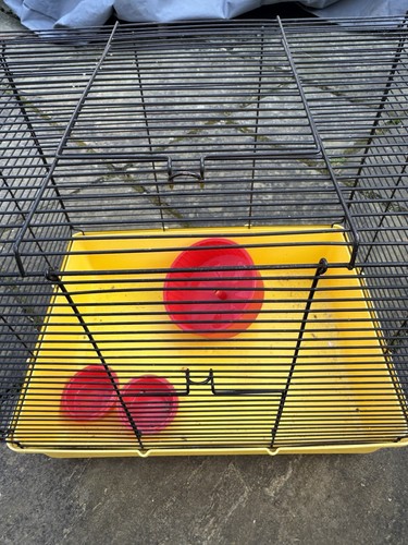 Hamster gerbil rat rodent - , cage