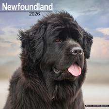 Newfoundland 2026 Calendar |