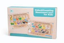 Montessori Magnetic Colour &