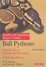 Ball Pythons (Reptile and