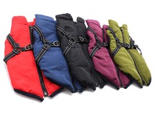 Pet dog vest puppy - uk,