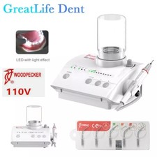 USA Stock Woodpecker Dental