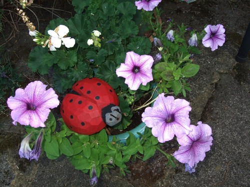 Ladybird garden ornament