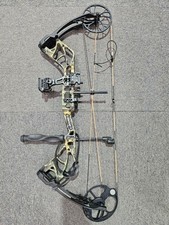 Second Hand - Bear Species LD