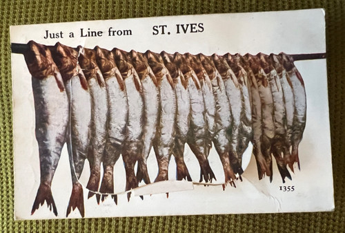 Vintage postcard fish ives - postcard,