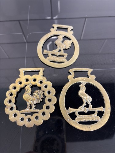 Horse brasses bridle - horse,