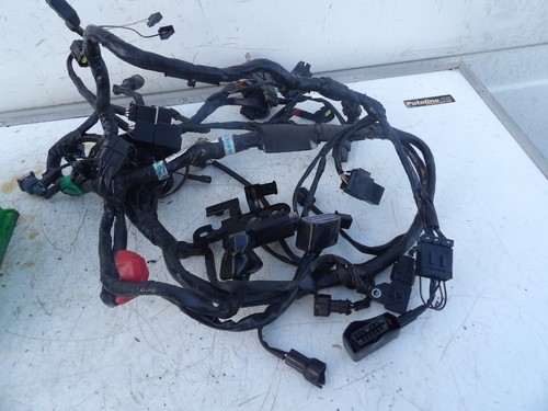 Triumph 900 thruxton wiring - 900,