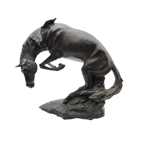 Wild rearing stallion - rearing, horse