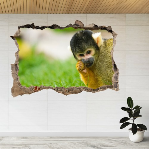 Squirrel monkeys saimiri park - saimiri,