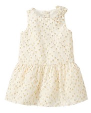 NWT Gymboree SPECIAL OCCASION