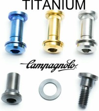 Campagnolo Seatpost Bolt in