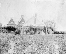 Durham Ox District Victoria 1905 - The farmhouse on 'Duck Swamp' s- Old Photo