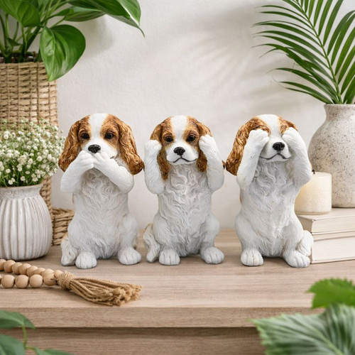 King charles spaniel - king,